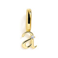 Charm - Initial