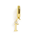 Charm - Initial