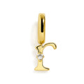 Charm - Initial