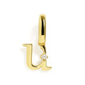Charm - Initial