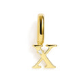 Charm - Initial
