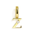 Charm - Initial